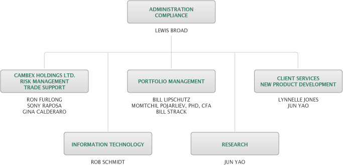 Organization Structure